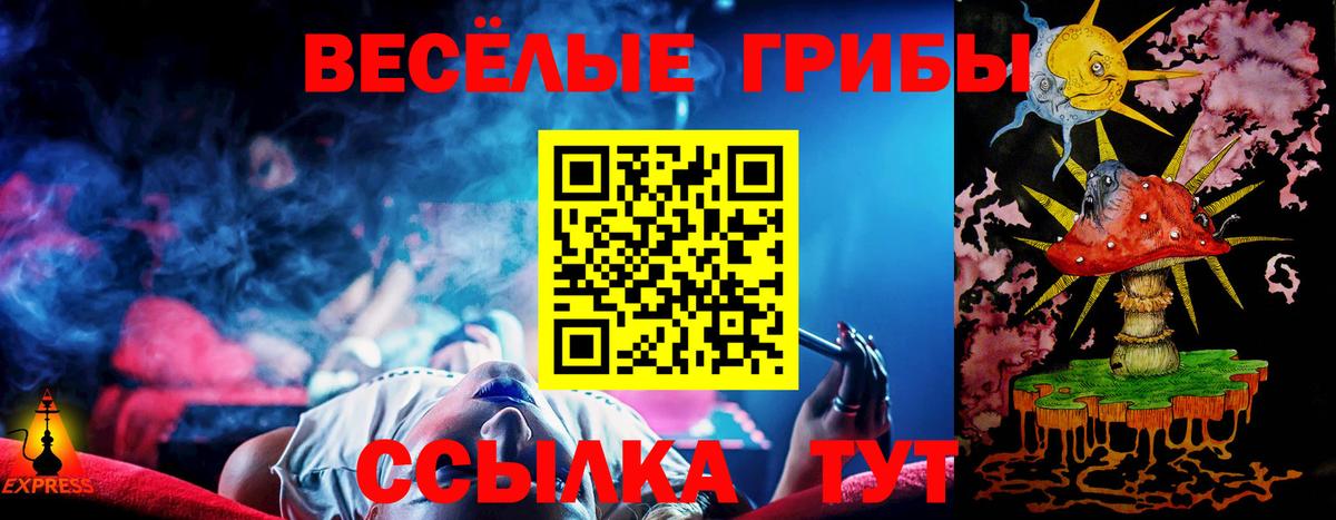 Псилоцибиновые грибы Cubensis Волгоград